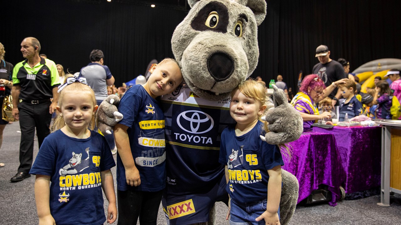 Official NRL Merchandise: North Queensland Cowboys NRL Mascot Bandages