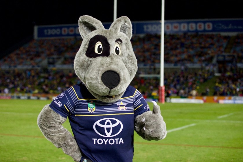 Official NRL Merchandise: North Queensland Cowboys NRL Mascot Bandages